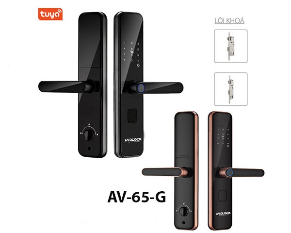 khóa vân tay avolock AV-65 - khoavantaychinhhang.com