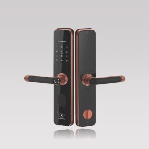 khóa vân tay Kassler KL-696 App Wifi - khoavantaychinhhang.com