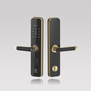 khóa vân tay Kassler KL-696 App Wifi - khoavantaychinhhang.com