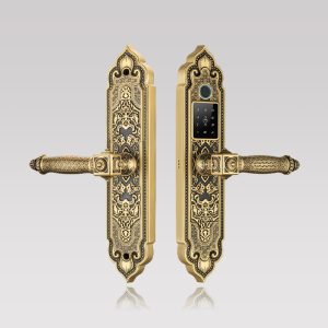 khóa vân tay tân cổ điển Kassler KL-919 pro cho đại sảnh - khoavantaychinhhang.com