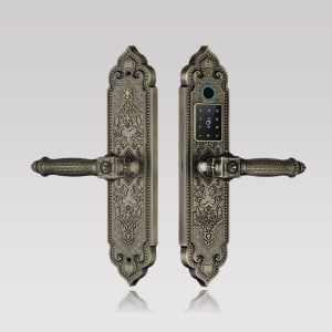 khóa vân tay tân cổ điển Kassler KL-919 pro cho đại sảnh - khoavantaychinhhang.com