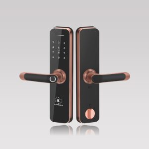 khóa vân tay Kassler KL-668 app wifi - khoavantaychinhhang.com