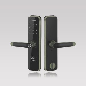 khóa vân tay Kassler KL-668 app wifi - khoavantaychinhhang.com